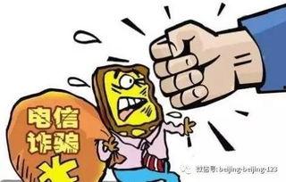 日本诈欺法律,严惩不贷，守护公民财产安全