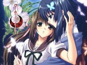 百合动漫免费观看全集,百合动漫免费全集畅享指南