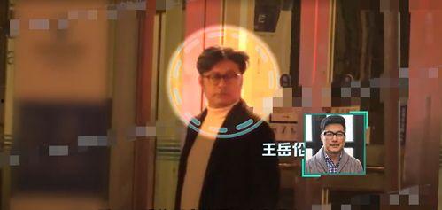 王岳伦视频,家庭生活与艺术创作的完美融合