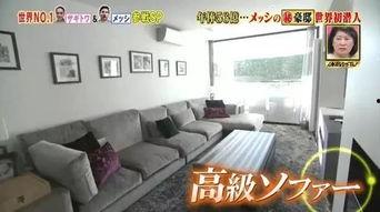 日本豪宅事件,一场财富与权力的较量