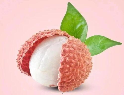 西梅果冻爆料怎么做视频,视频生成技巧全解析