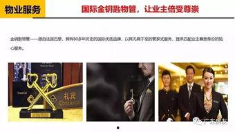 广州爆料大王视频大全,揭秘城市热点事件背后的真相